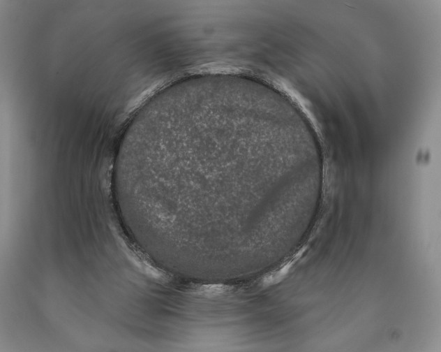 X0000089910153200707271722