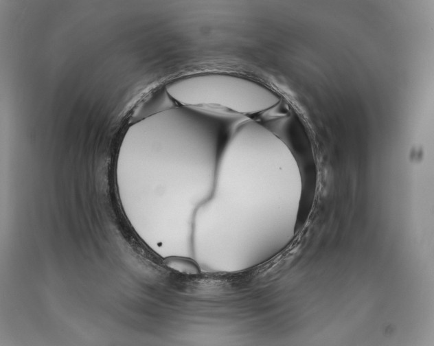 X0000089910154200707271722