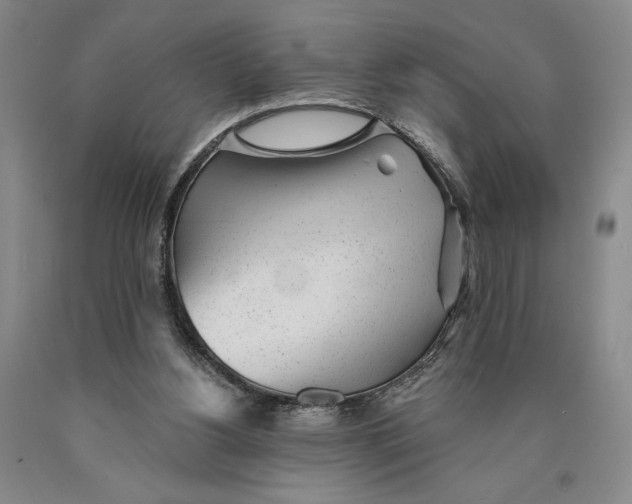 X0000089910156200707271722