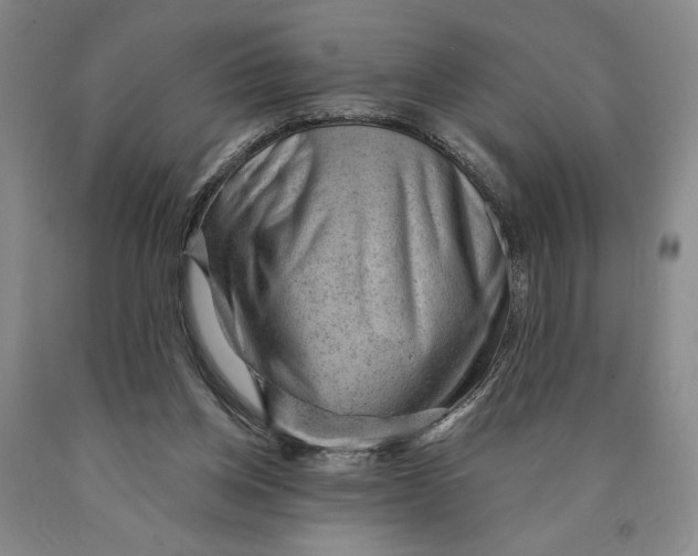 X0000089910158200707271722