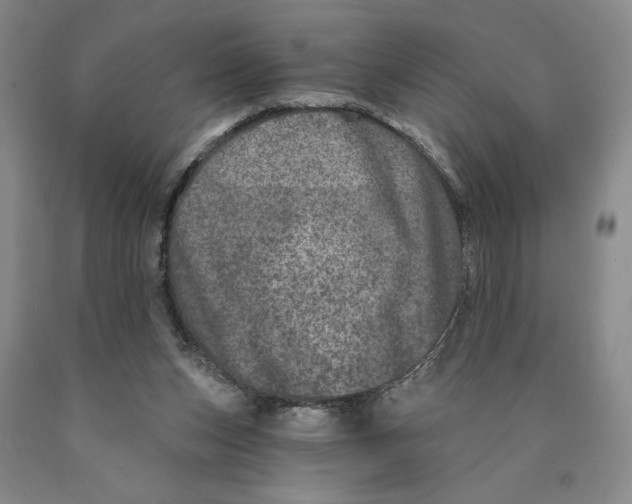 X0000089910159200707271722