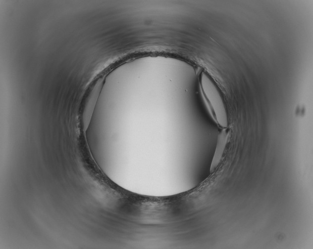 X0000089910160200707271722