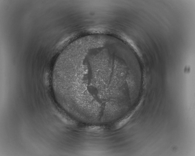 X0000089910161200707271722