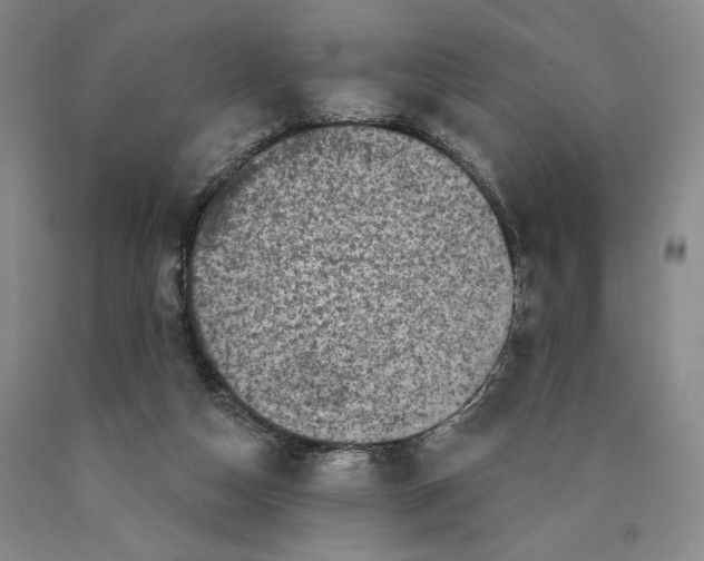 X0000089910162200707271722