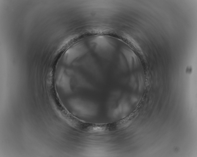 X0000089910163200707271722