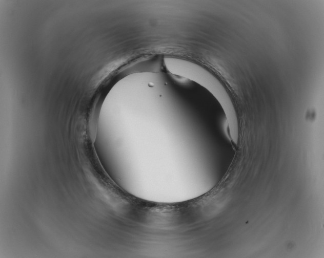 X0000089910164200707271722