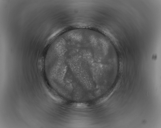 X0000089910165200707271722