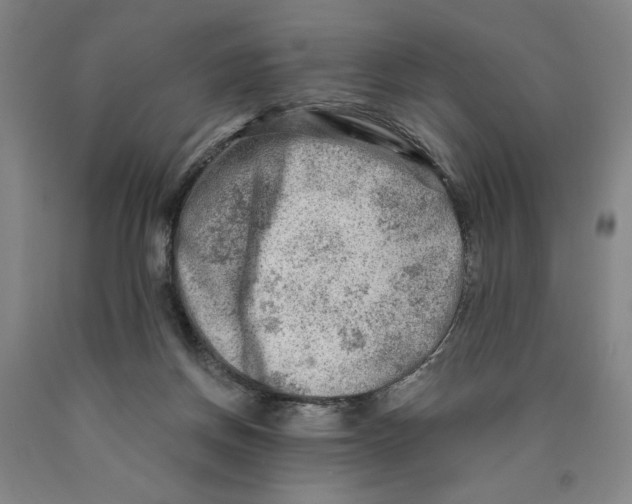 X0000089910166200707271722