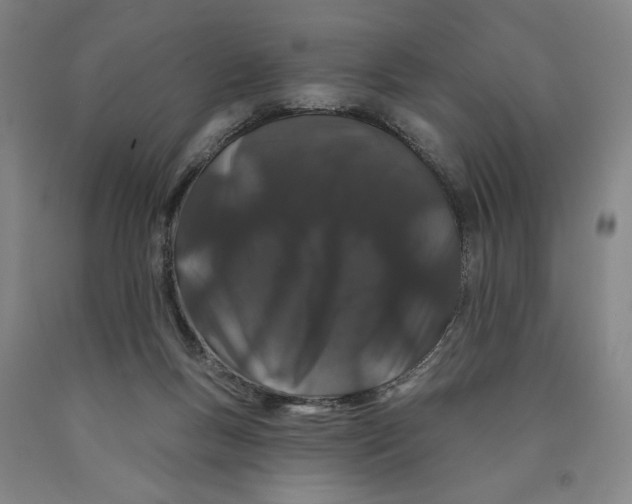 X0000089910167200707271722