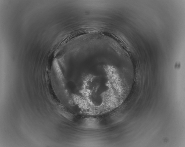 X0000089910169200707271722