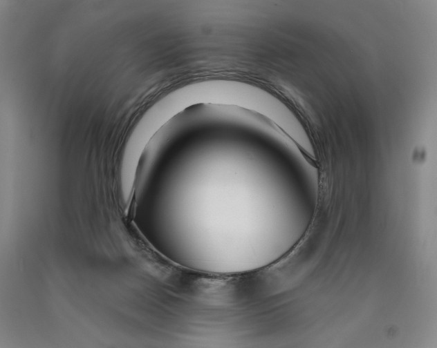 X0000089910170200707271722