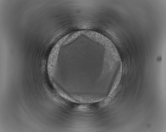 X0000089910171200707271722