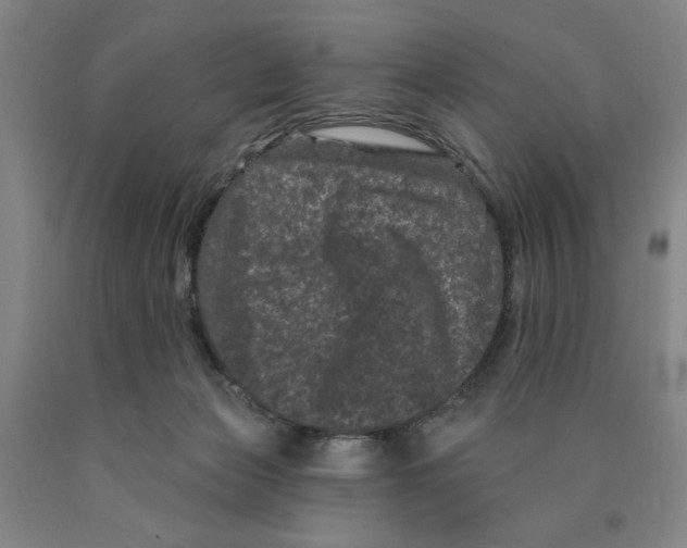 X0000089910173200707271722