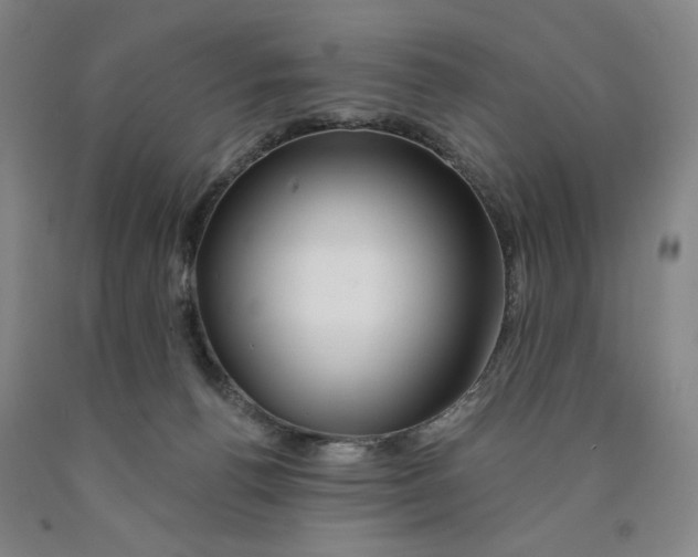 X0000089910176200707271722