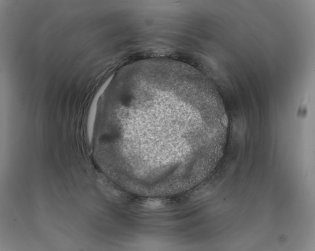 X0000089910177200707271722