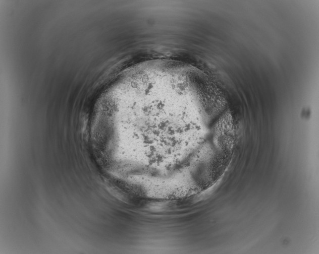 X0000089910178200707271722