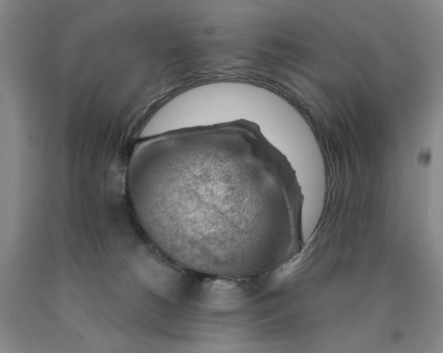 X0000089910180200707271722