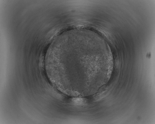 X0000089910181200707271722