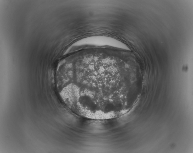 X0000089910182200707271722