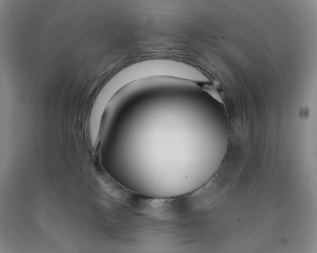 X0000089910184200707271722