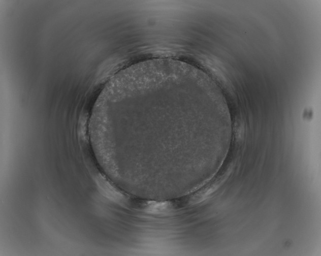 X0000089910185200707271722