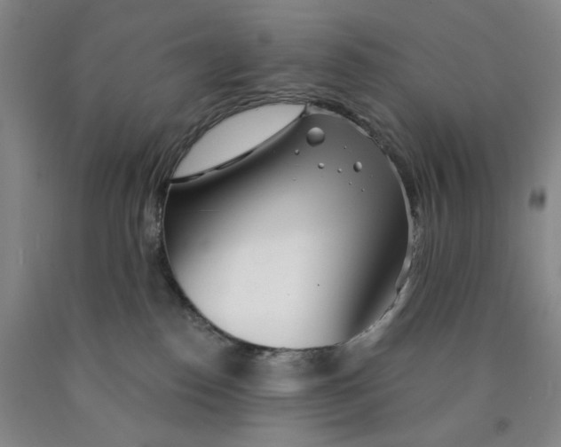 X0000089910186200707271722