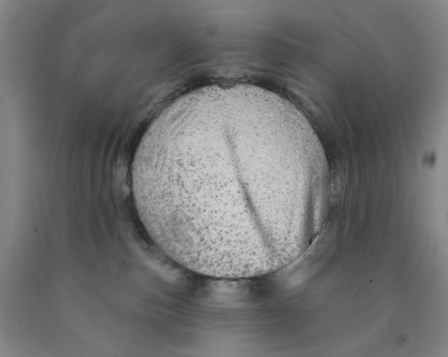 X0000089910187200707271722