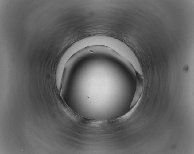 X0000089910190200707271722