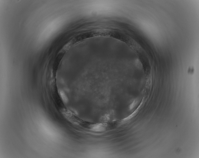 X0000089910191200707271722