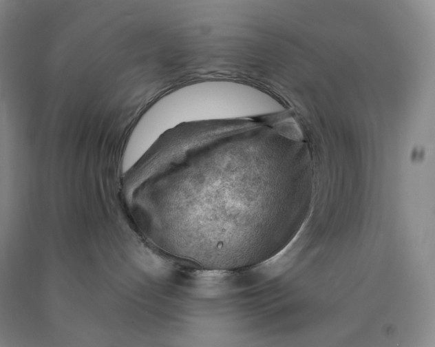 X0000089910192200707271722