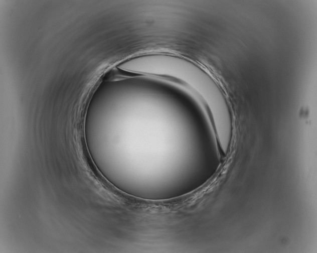 X0000089910193200707271722