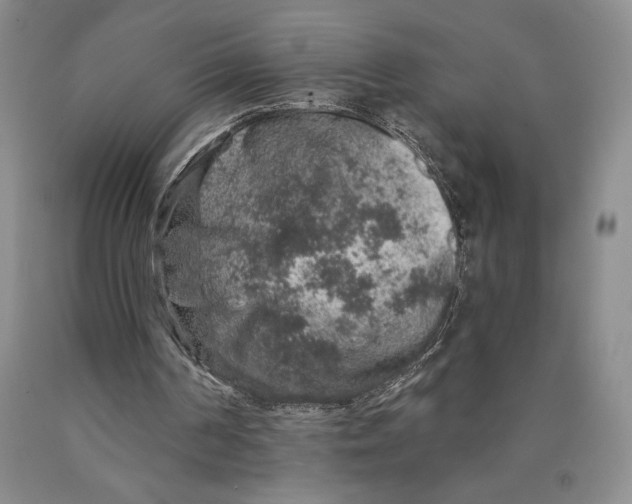 X0000089910194200707271722