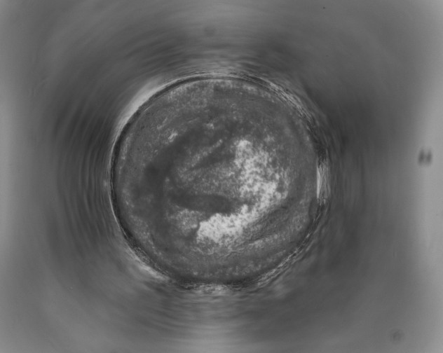 X0000089910195200707271722