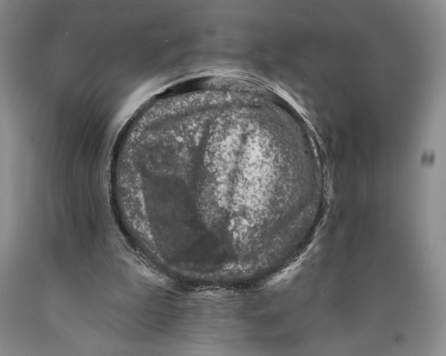 X0000089910199200707271722