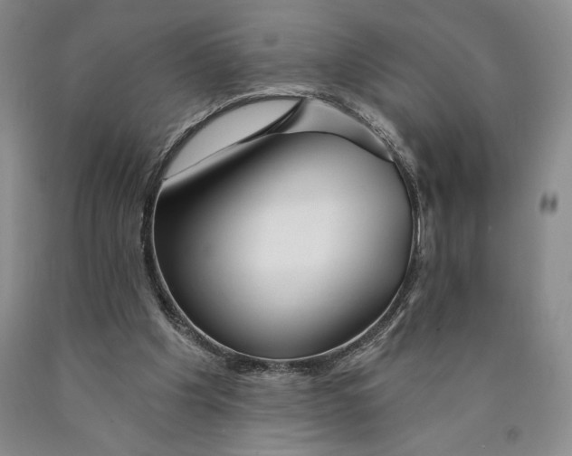 X0000089910201200707271722