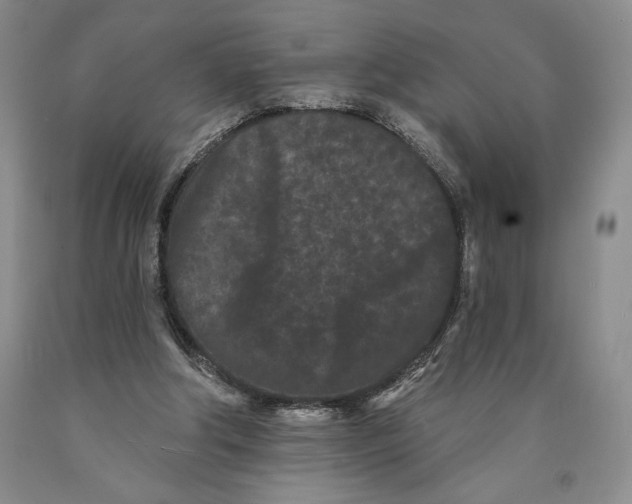 X0000089910202200707271722