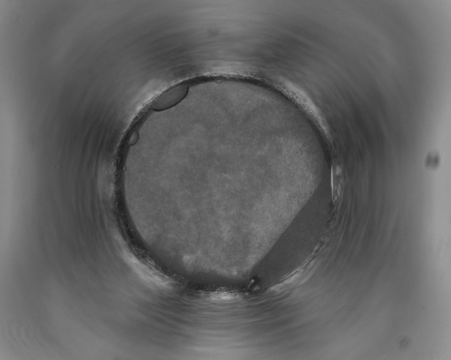 X0000089910204200707271722