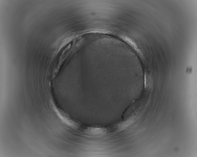 X0000089910205200707271722