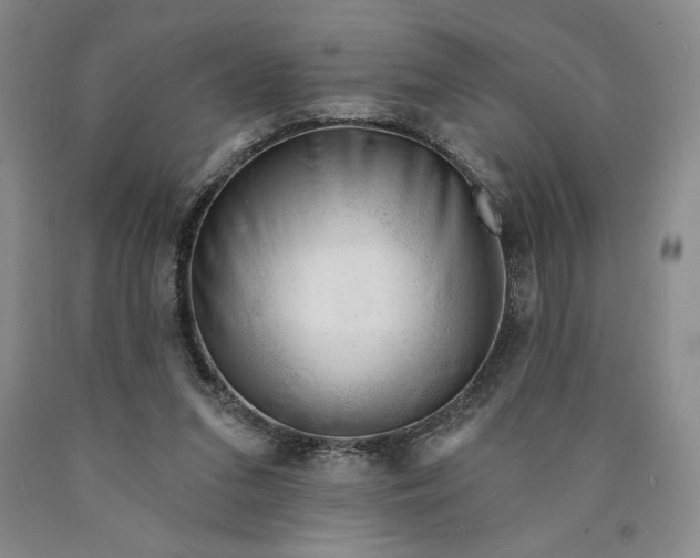 X0000089910207200707271722