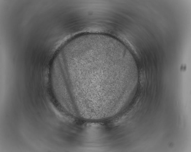 X0000089910208200707271722