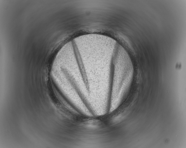 X0000089910210200707271721