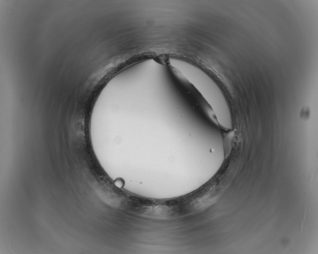 X0000089910212200707271721