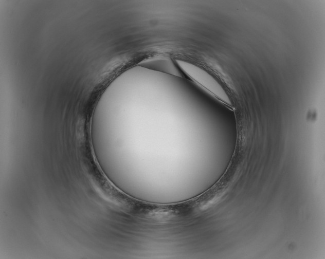 X0000089910213200707271721