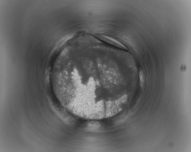 X0000089910214200707271721