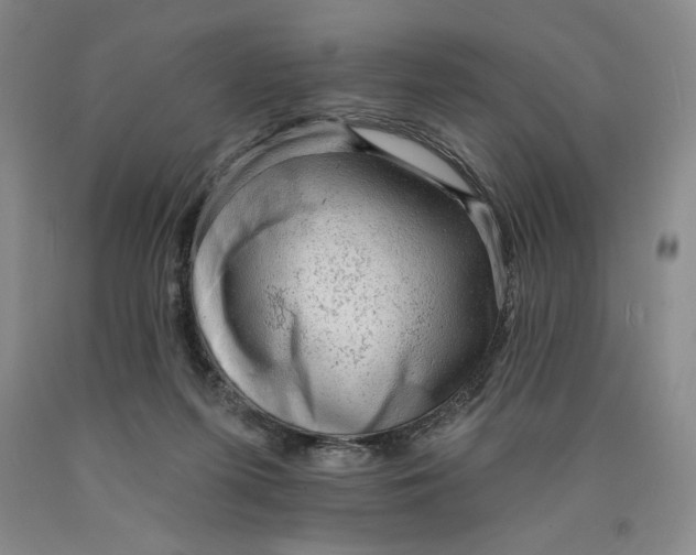 X0000089910215200707271721