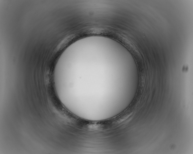 X0000089910216200707271721