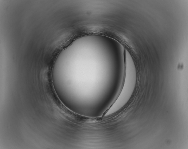 X0000089910217200707271721