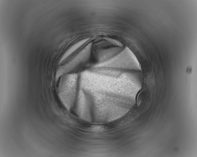 X0000089910218200707271721