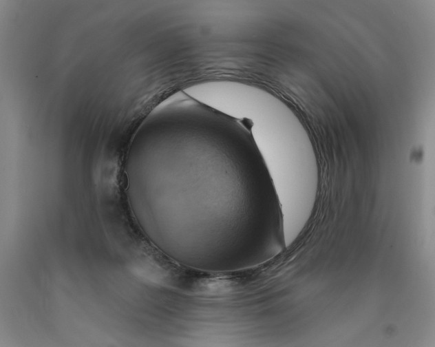 X0000089910219200707271721