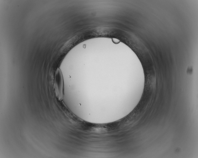 X0000089910220200707271721